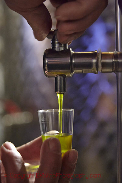 Tasting olive oil in Istria, Croatia