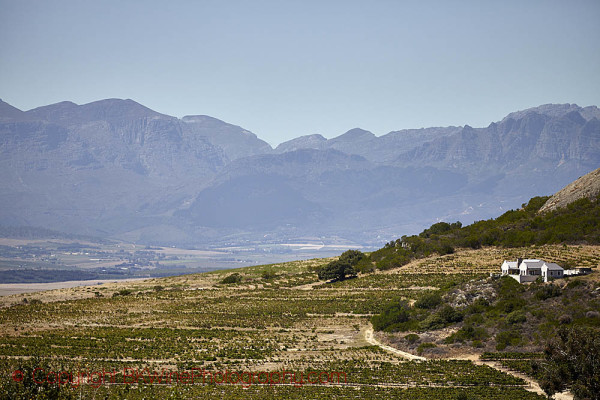 Swartland landscape in South Africa