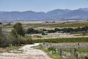Swartland landscape in South Africa