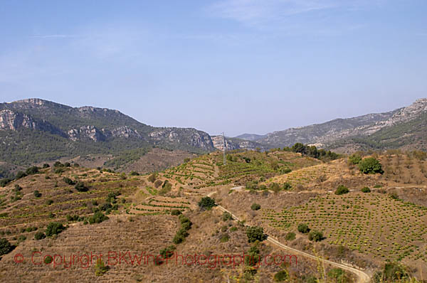 Hills and terraced vineyards. Priorato, Catalonia, Spain