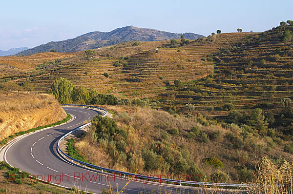 Winding road, terraced vineyards. Priorato, Catalonia, Spain