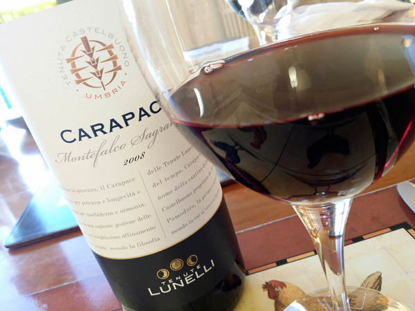 Carapace Montefalco Sagrantino 2008, Tenute Lunelli, Umbria