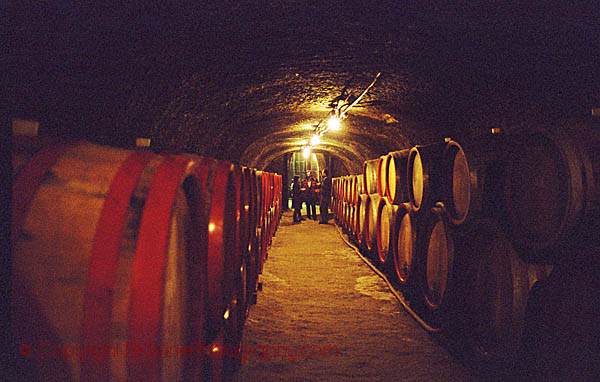 Tibor Gal winery in Eger, underground tunnels with rows of barrels