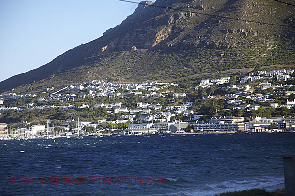 Along the coast in the Cape province