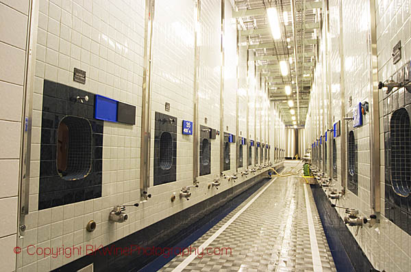 Fermentation vats at Union Champagne cooperative (Champagne de Saint Gall), Champagne