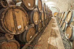 gini la frosca soave