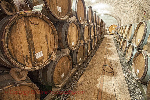 The wine cellar at Azienda Agricola Gini