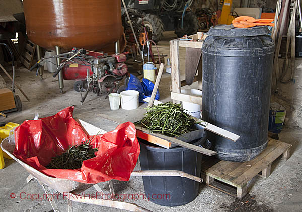 Nettle preparations for the vineyards at Champagne Heucq