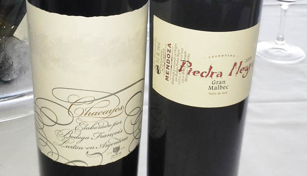 Piedra Negra and Chacayes from Francois Lurton