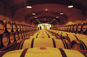Oak barrel ageing and fermentation cellar, Chateau du Tertre