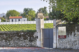 Vineyard of Chateau les Carmes Haut Brion, Pessac-Leognan