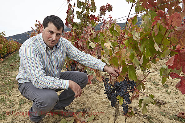 Simon Arina, winemaker at Bodegas Baigorri