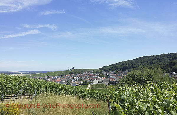 Landscape in Champagne with vineyards