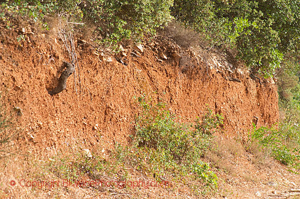 The soil at Mas de Daumas Gassac