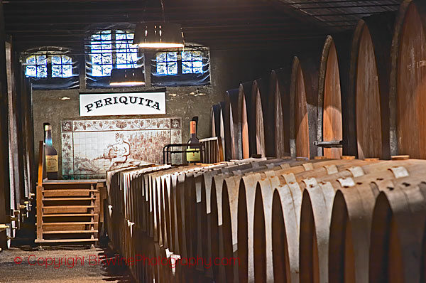 The Periquita cellar at JM da Fonseca