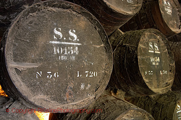 Old moscatel ageing in old barrels