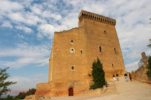 the ruin in chateauneuf