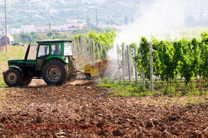 vineyard tractor spraying