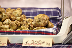Truffles at the market in Alba in Piedmont