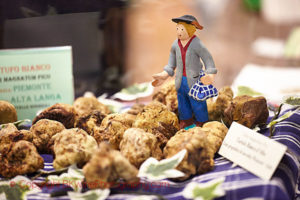 Truffles at the market in Alba in Piedmont