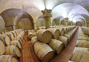 wine cellar at la spinetta piedmont