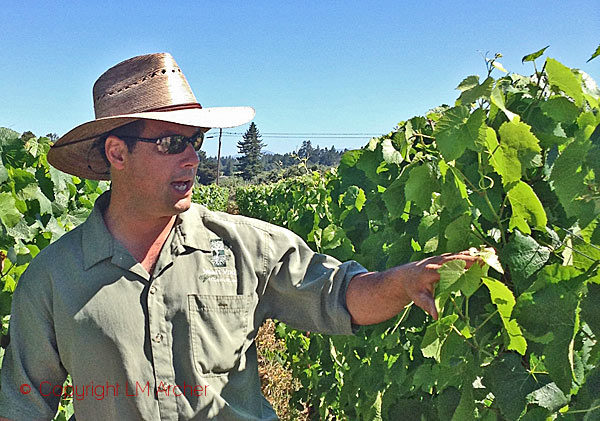 Paul Sloan of Small Vines Winery