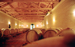 wine cellar in brazil