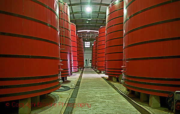 Fermentation vats at Vinhos Mioranza in Brazil