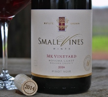 Small Vines MK (Matt Keller) Vineyard Sonoma Coast Pinot Noir