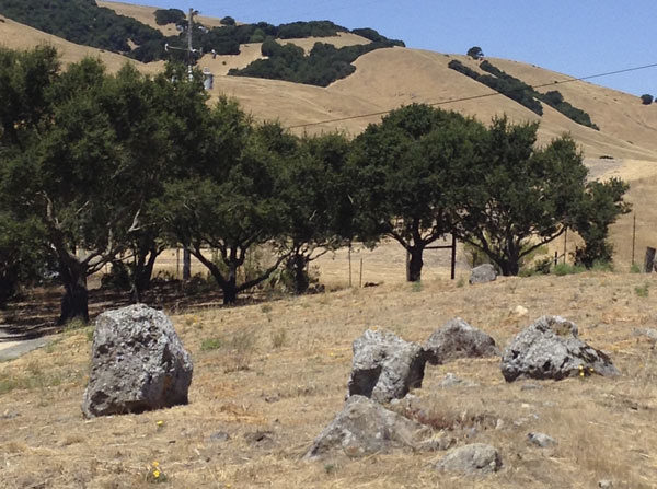 Basalt on the Schug Estate