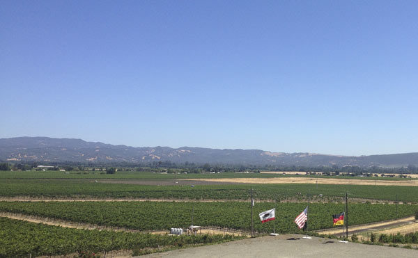 View to Carneros from Schug Winery