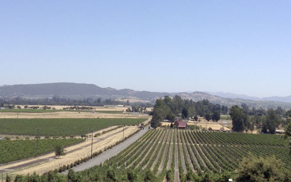 Schug's view towards Mayacamas