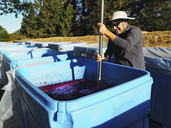 Winemaker Steve Hall at Troon Vineyards, Applegate Valley, Oregon