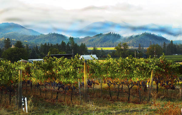 Troon Vineyards, Applegate Valley, Oregon