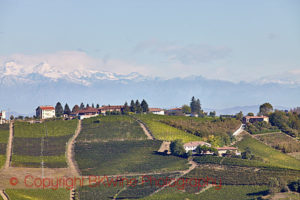 piedmont landscape