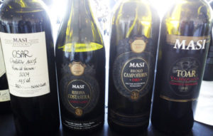 masi oseleta wines