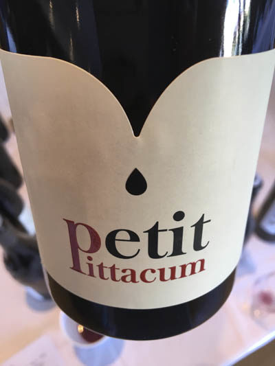 Petit Pittacum