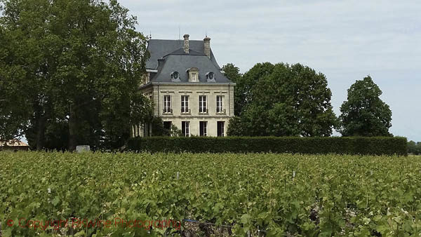 Chateau Latour, Bordeaux