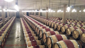 chateau latour barrel cellar