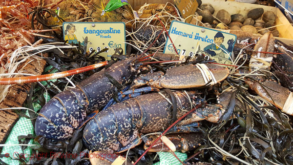 Blue lobster from Bretagne on a market in Paris