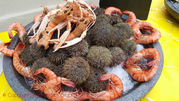 Sea urchins and other shellfish on a plate