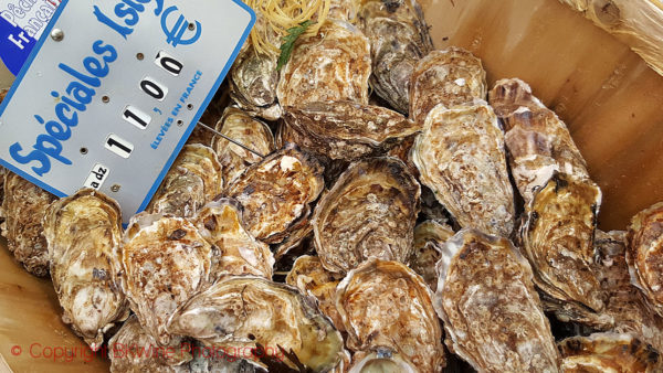 Oysters at a market in Paris