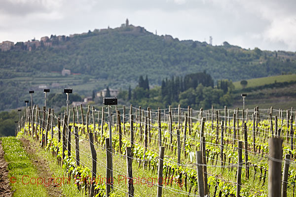 Paradiso di Frassina Mozart Vineyard with speakers and Brunello di Montalcino village