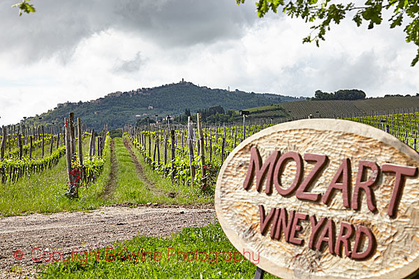 Paradiso di Frassina Mozart Vineyard with speakers and Brunello di Montalcino village