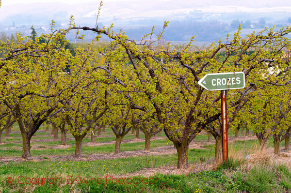 On the road to Crozes-Hermitage