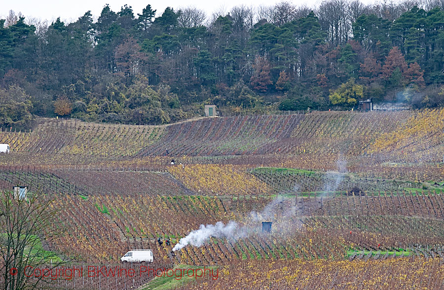 Winter pruning on a Champagne slope