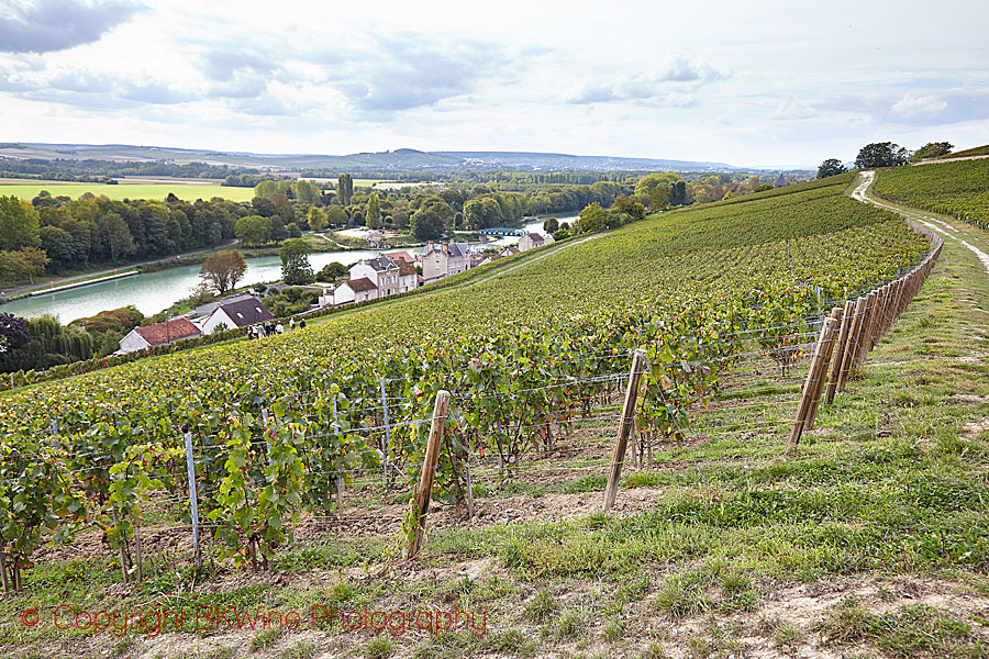 View over Vallee de la Marne in Champagne