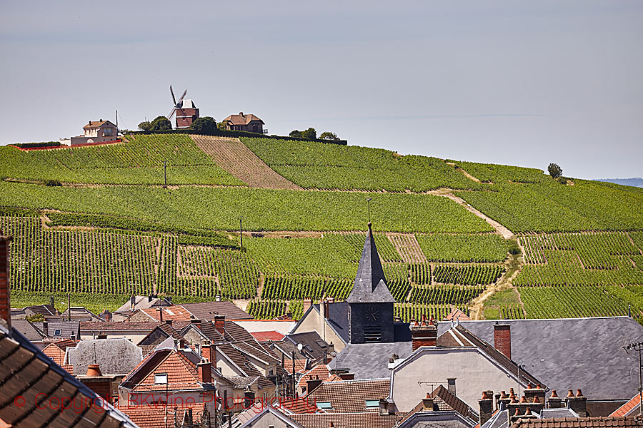 The Verzy windmill in Montagne de Reims, Champagne