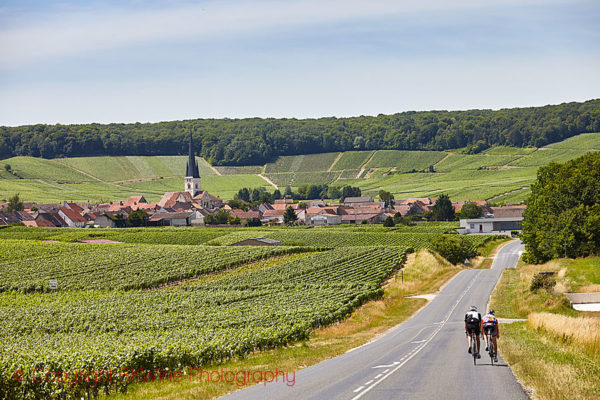 Vineyards surrounding a village in Vallee de la Marne in Champagne