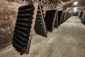 Bottles in pupitres for remuage in Champagne